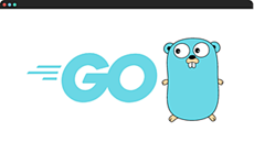 Go Support for Software Health Insights Go Support for Software Health Insights